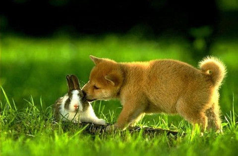 Photo_12 Photo_12