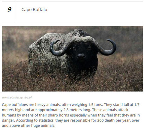 animals_who_are_known_for_causing_human_deaths_640_17