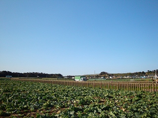 s-DSC00985
