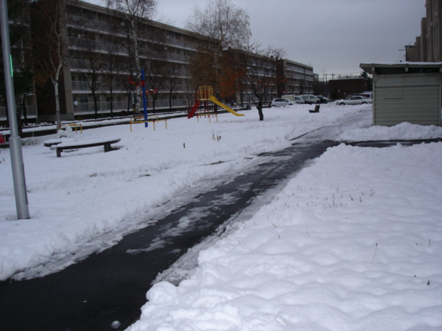 雪