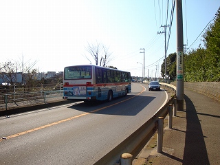 s-DSC01010