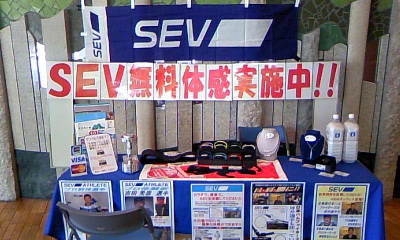 SEV̎ގ