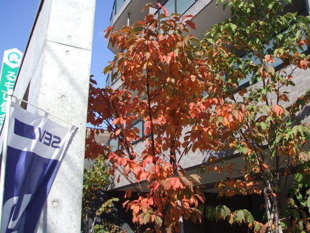 20101001 001