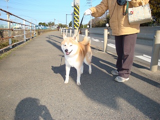 s-DSC01012