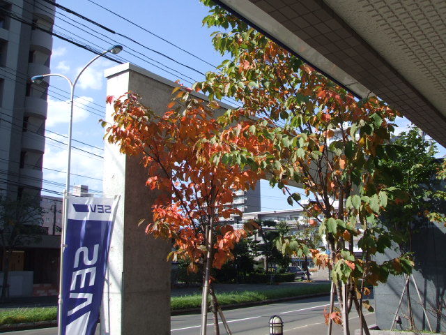 20101001 002