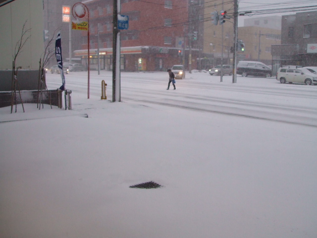 豪雪