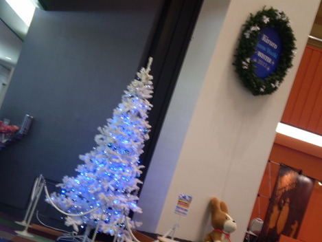 20121208 006