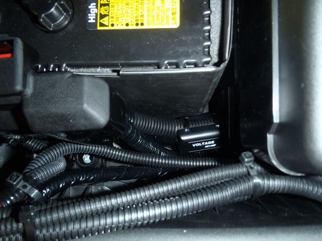 P9181685