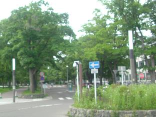 北大2