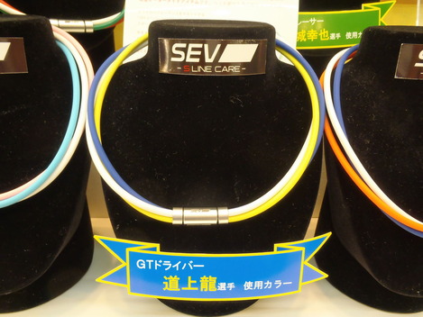 P8191510