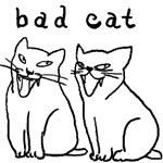 bad cat