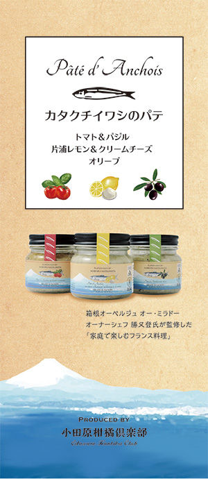 カタクチイワシのパテ パンフレット