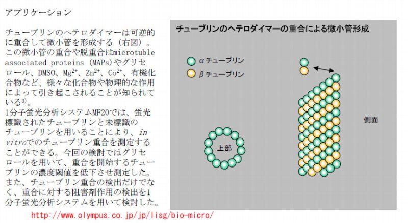 12年02月 Blogchemistry 12年02月 Blogchemistry