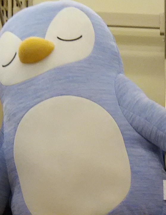 ニトリ - ニトリ  ペンギン  抱き枕  Nクール  2016 ニトリ2016夏】 ニトリ「ひんやり抱き枕 Nクールペンギン」は超