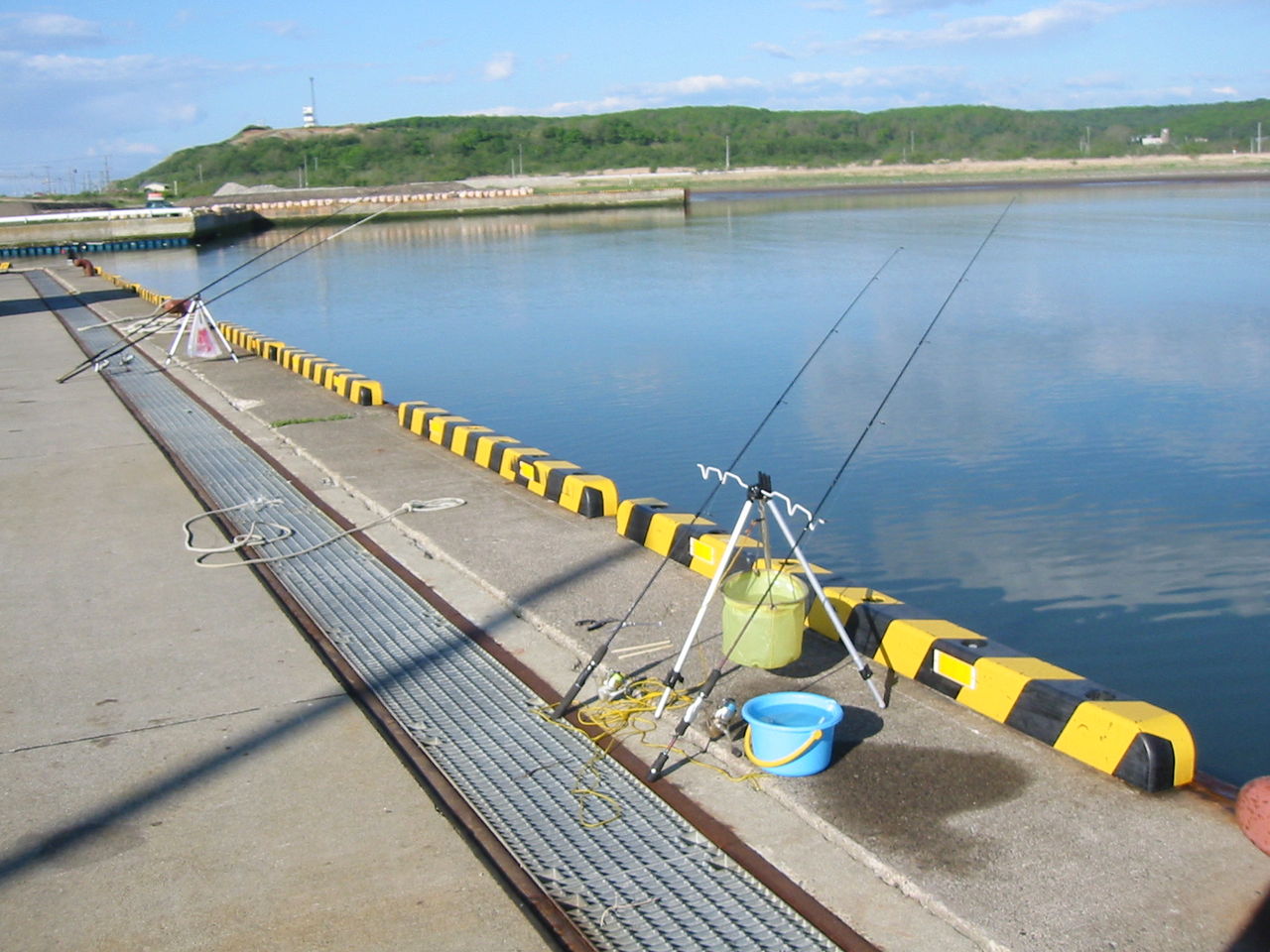 大津で釣ってきた魚とビックリの アレ きんちゃんの十勝大好き 大津で釣ってきた魚とビックリの アレ きんちゃんの十勝大好き