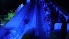 DSC00603