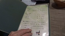 3.1