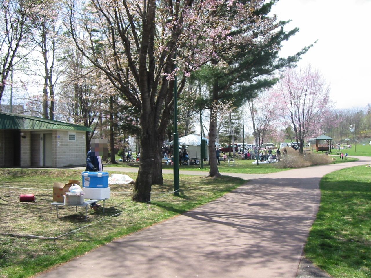 帯広で桜と焼肉 春の風物詩です きんちゃんの十勝大好き
