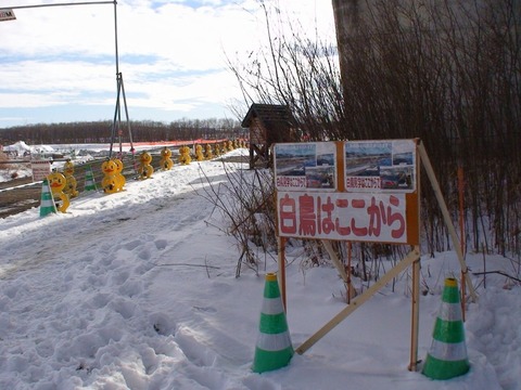 DSC00534