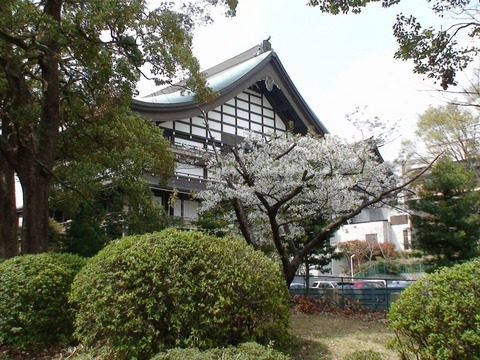 DSC00006