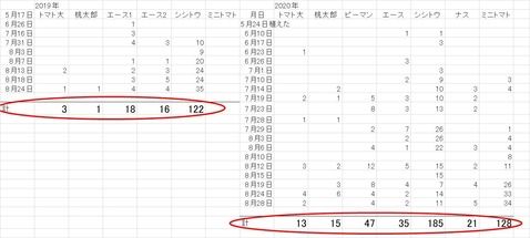 グラフ1