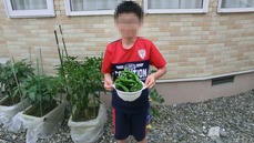 8月6日 (1)