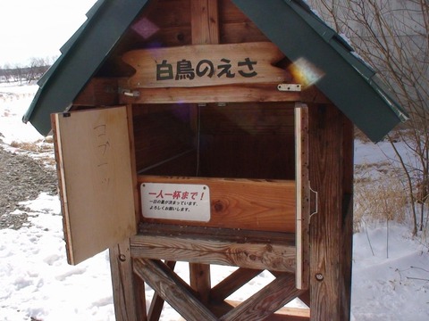 DSC00535