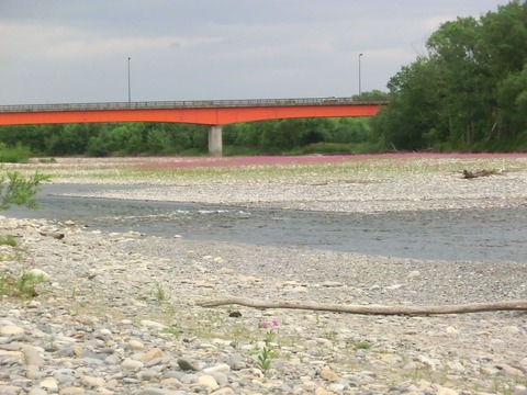 CIMG2456