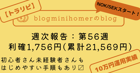 トラリピ10万運用:週次報告_20250120
