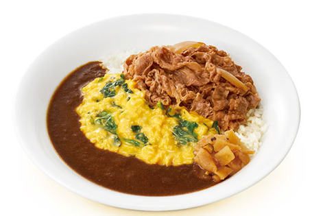 photo_curry_304700