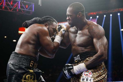 wilder-stiverne11