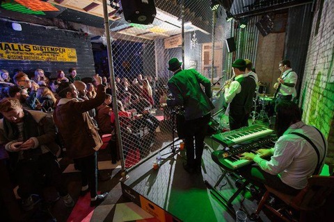 Bunny-Jacksons-6-optimised