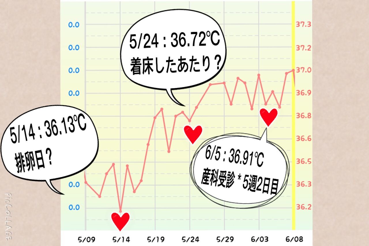 排卵日の症状 排卵日の症状とは？腹痛や胸の張り、吐き気、腰痛が現れる？