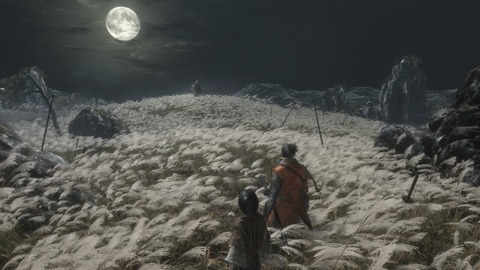 SEKIRO IMEGE 013