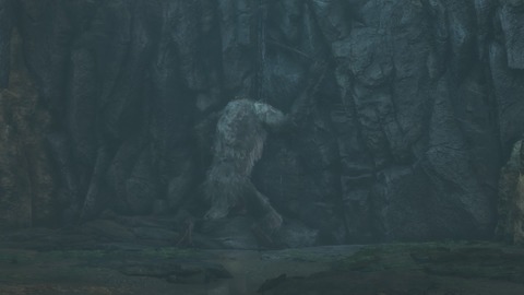 SEKIRO_獅子猿4