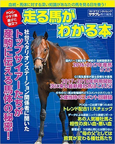 2017 2018シーズン 21th身内pog指名馬レビュー 第15回 最終回 Pog血統探検blog