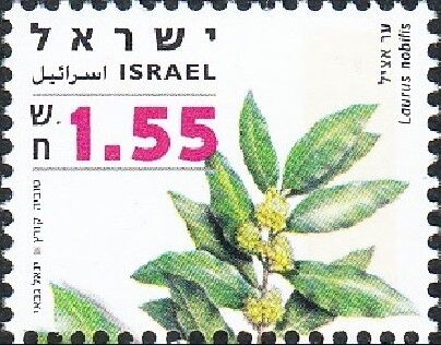 月桂樹.イスラエル.2007