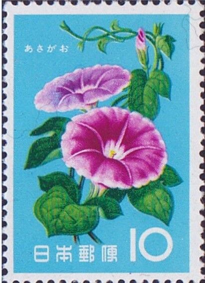 アサガオ.1961