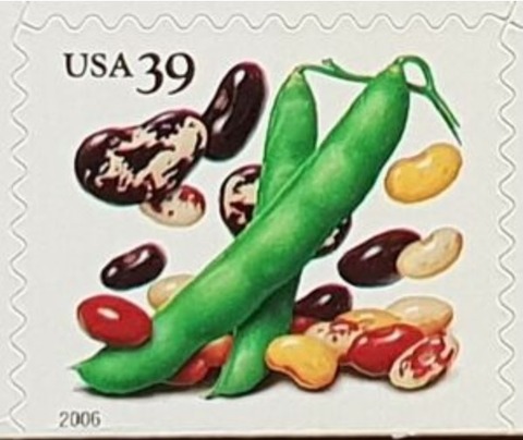 インゲンマメ.米国.2006