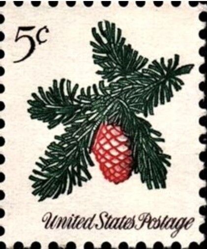 マツボックリ.米国.1964