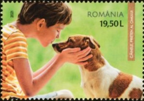 犬と子供.ルーマニア.2021