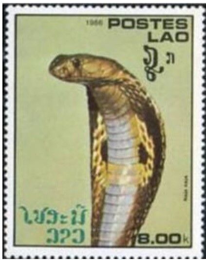 インドコブラ.ラオス.1986