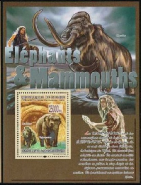 マンモス.ギニア.2008