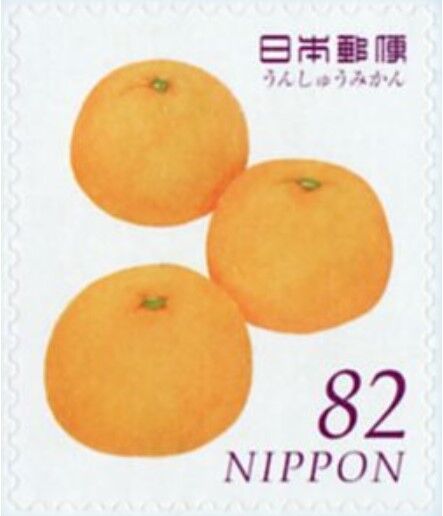 温州みかん.2015