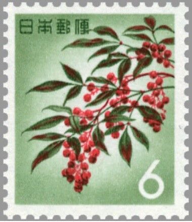 ナンテン.1962