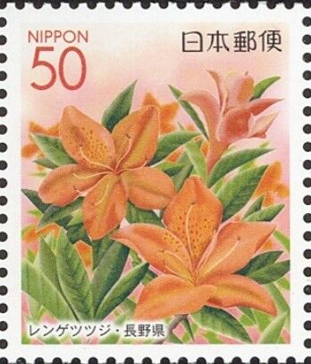 レンゲツツジ.日本.2005