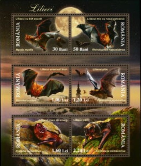 コウモリ.2006.ルーマニア