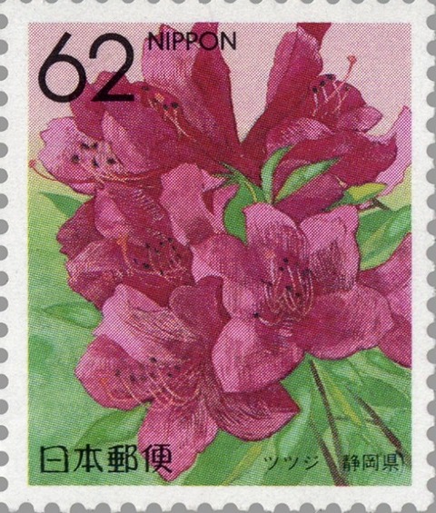 ふるさと　47都道府県の花　静岡版.