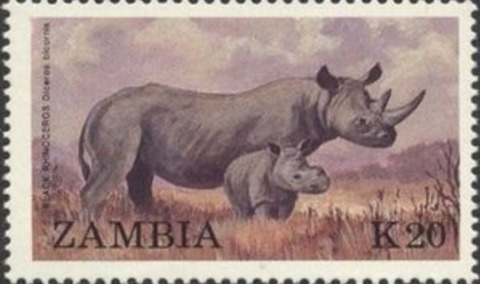 クロサイ.1988.ザンビア