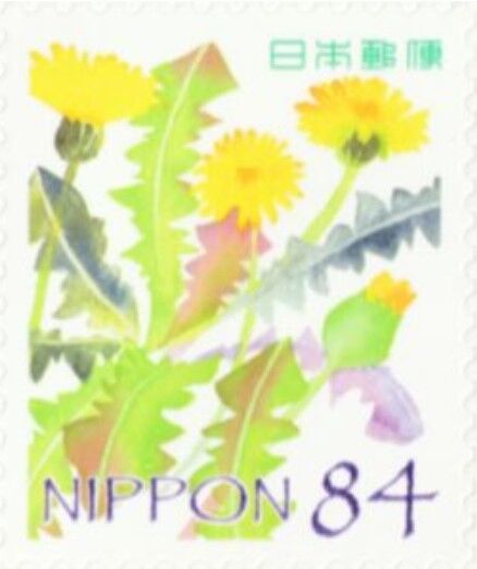 タンポポ.日本.2021